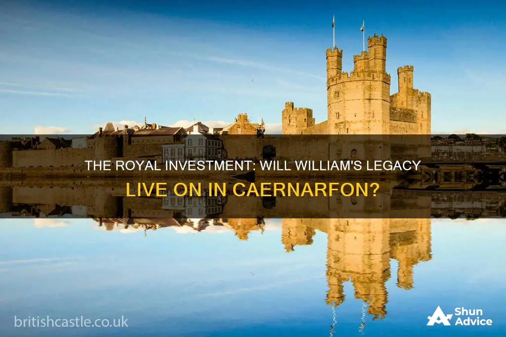 will william be invested in caernarfon