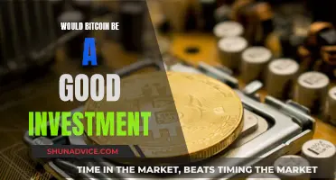 Bitcoin Investment: Worthwhile or Risky Venture?