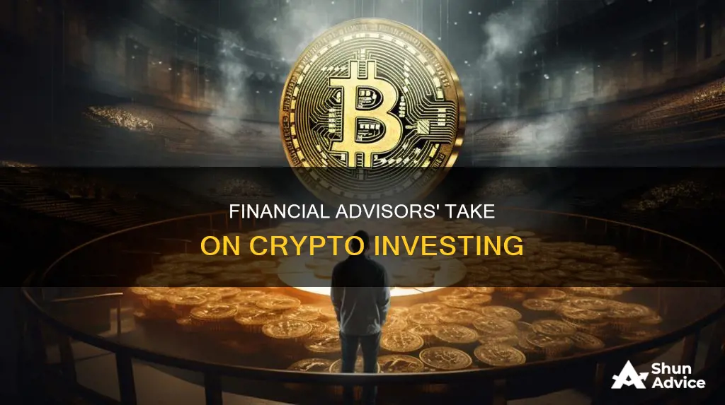 would financial advisors recommend investing in crypto