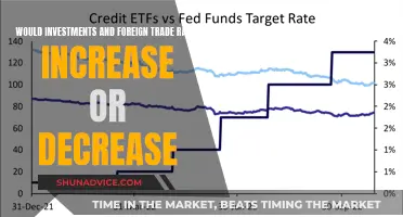 Global Trade and Investment: Navigating Fluctuating Rates