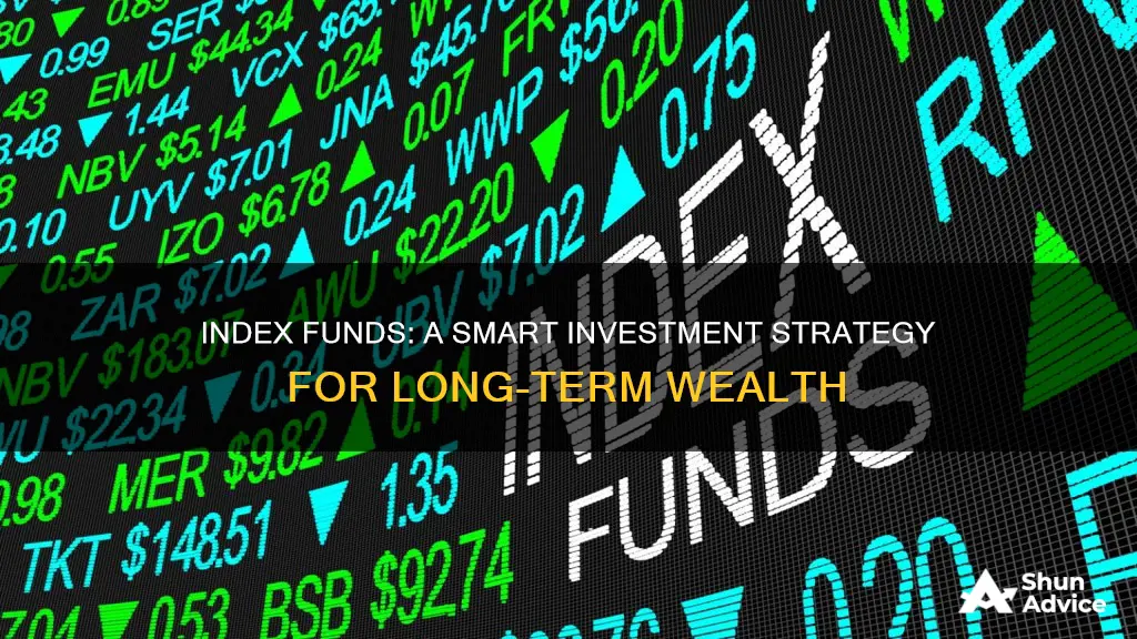 would you invest in index funds