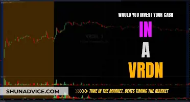 VRDN Investment: Is It Worth the Risk?