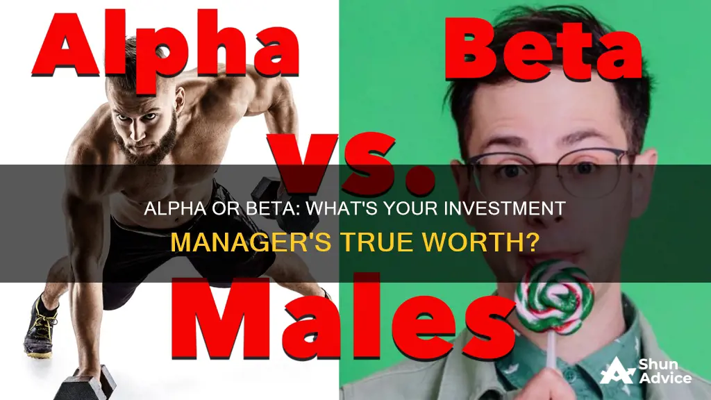 would you pay an investment manager for alpha or beta